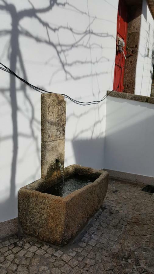 Casa Dos Namorados Vale de Cambra Zewnętrze zdjęcie