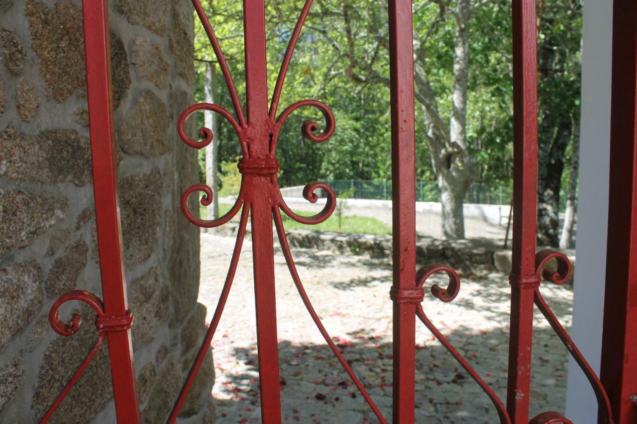 Casa Dos Namorados Vale de Cambra Zewnętrze zdjęcie